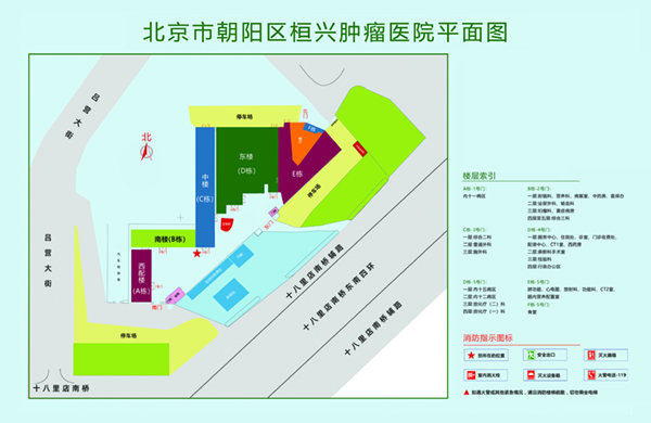 插逼逼日韩影片北京市朝阳区桓兴肿瘤医院平面图